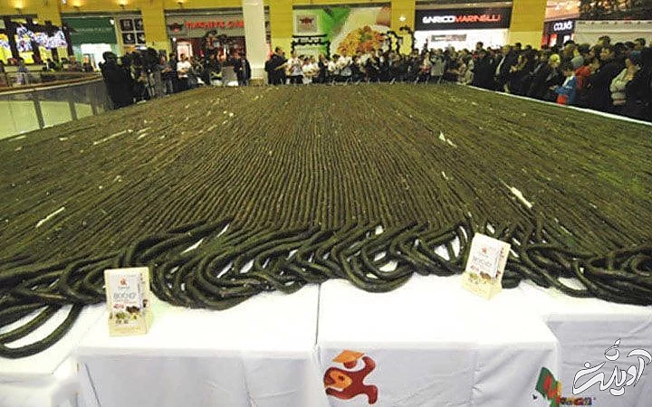 غذا‌هایی که در گینس رکورد زدند+ تصاویر